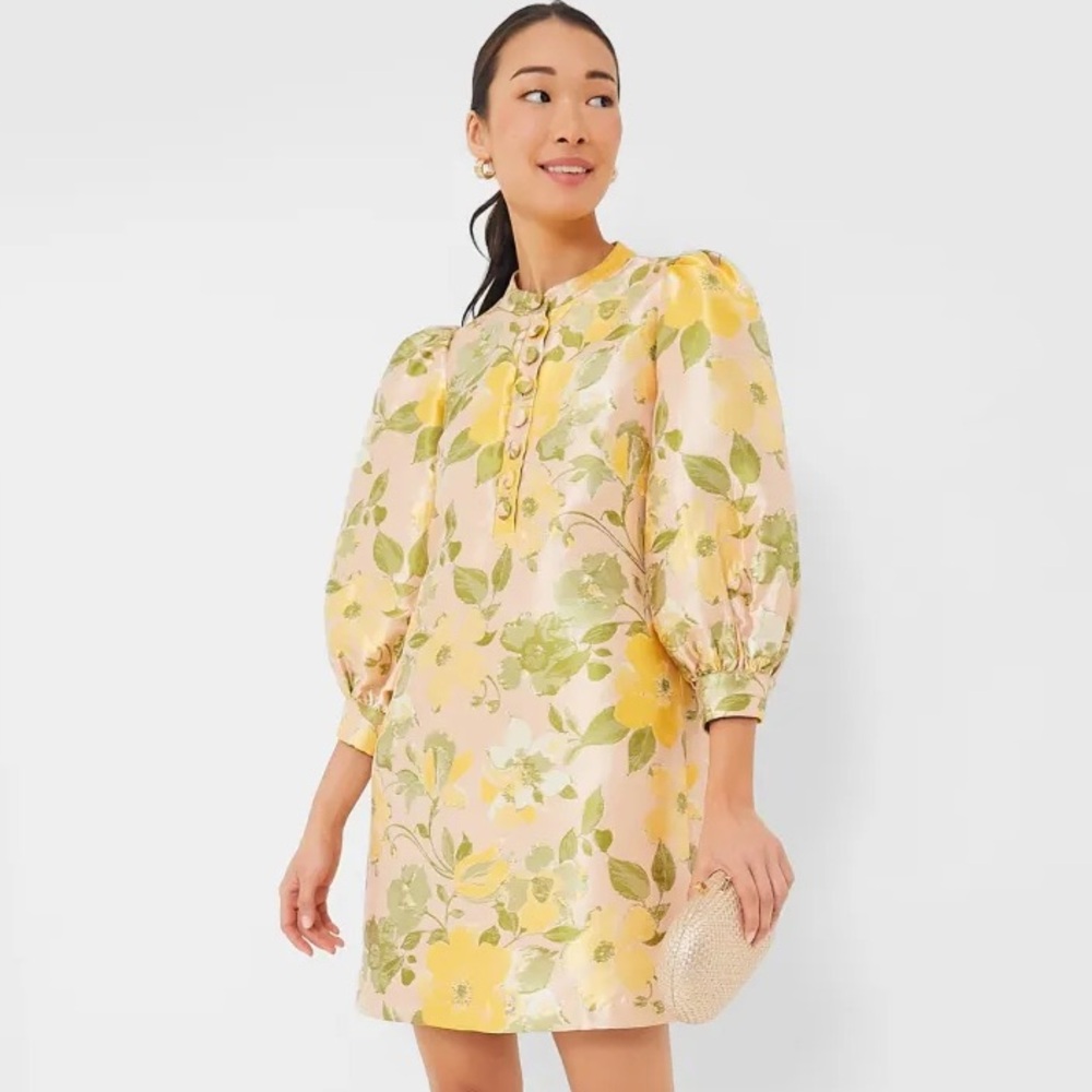 POMANDER PLACE small Daylily Jacquard Samantha Dress EUC - Picture 6 of 11